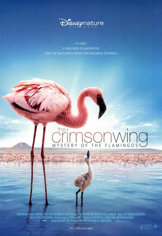 The Crimson of the Flamingos (2008)